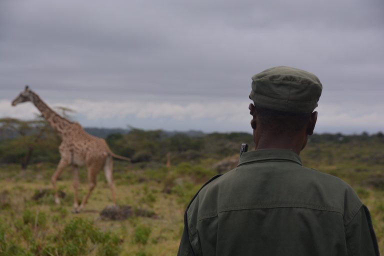 Arusha National Park- Hatari Lodge Experience- 4 Tage