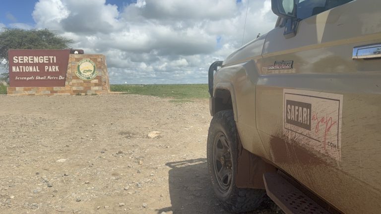 Tansania Camping Budget Safari- 7 Tage