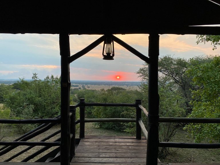 Big Five Lodge Safari in den Nordparks-8 Tage