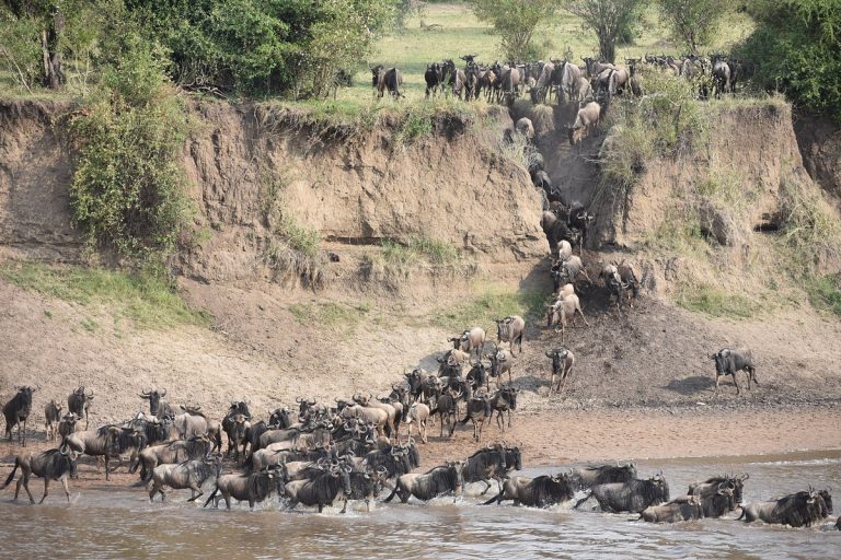 Easy Lodge Safari in den Nordparks -5 Tage