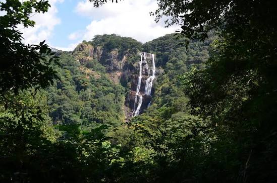 Por qué viajar a Tanzania