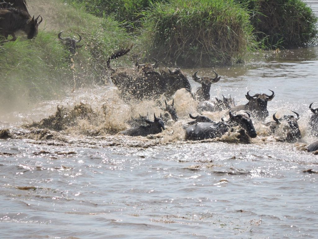 Africa alucinante: Viaje a Tanzania y Kenia 15 días
