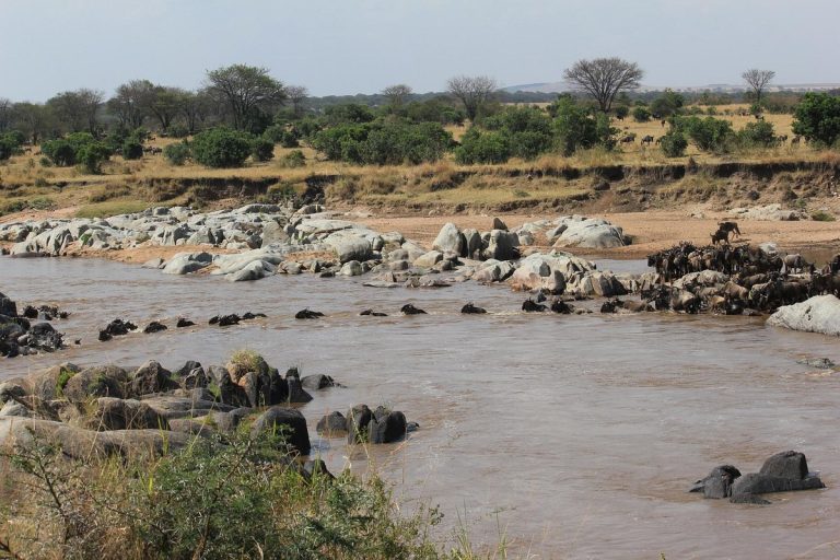 Parque Nacional de Serengeti