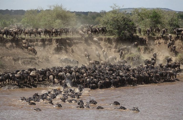 Kenia Clásica – 11 días