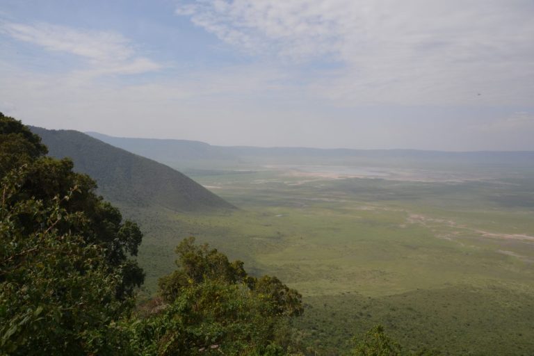 Zone Protegee Du Ngorongoro Et Son Cratere