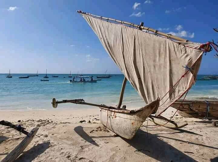 Brousse et plage à Saadani
