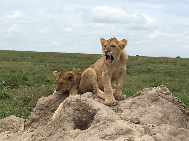 Splendeurs de la Tanzanie