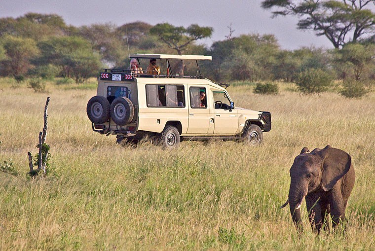 tanzanie