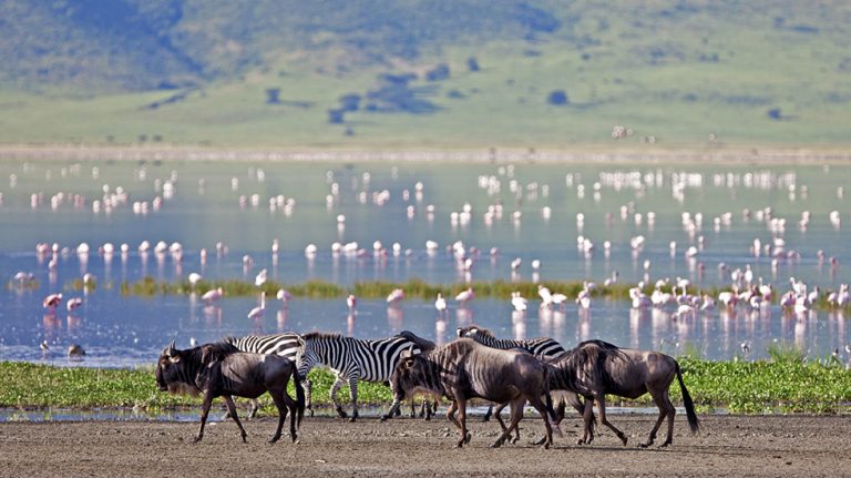 Karibuni Tanzania safari, 9 Jours