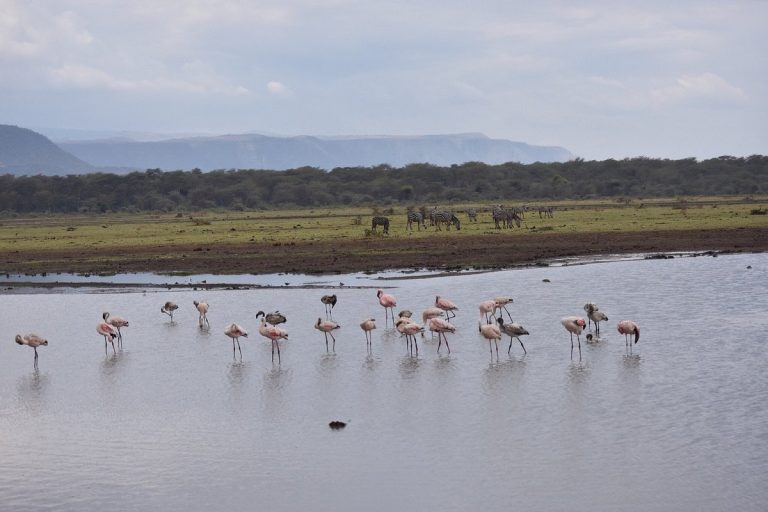 Escapade Kenyanne, 5 Jours