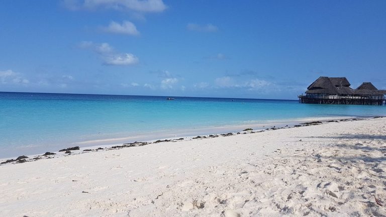 Safari au Selous et séjour à Zanzibar