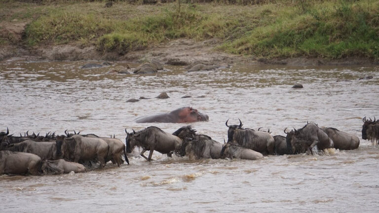 Serengeti National Park