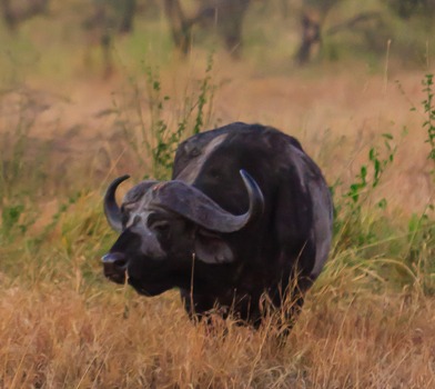 Arusha National Park