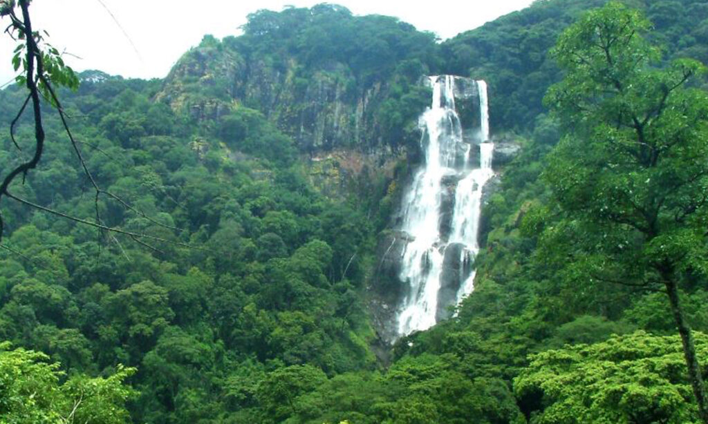 Udzungwa Mountains National Park