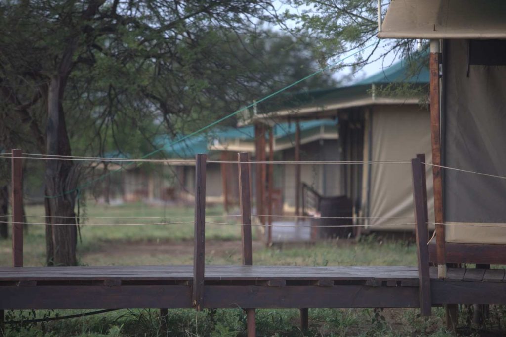 3 Days Fly-in Nyerere National Park Safari