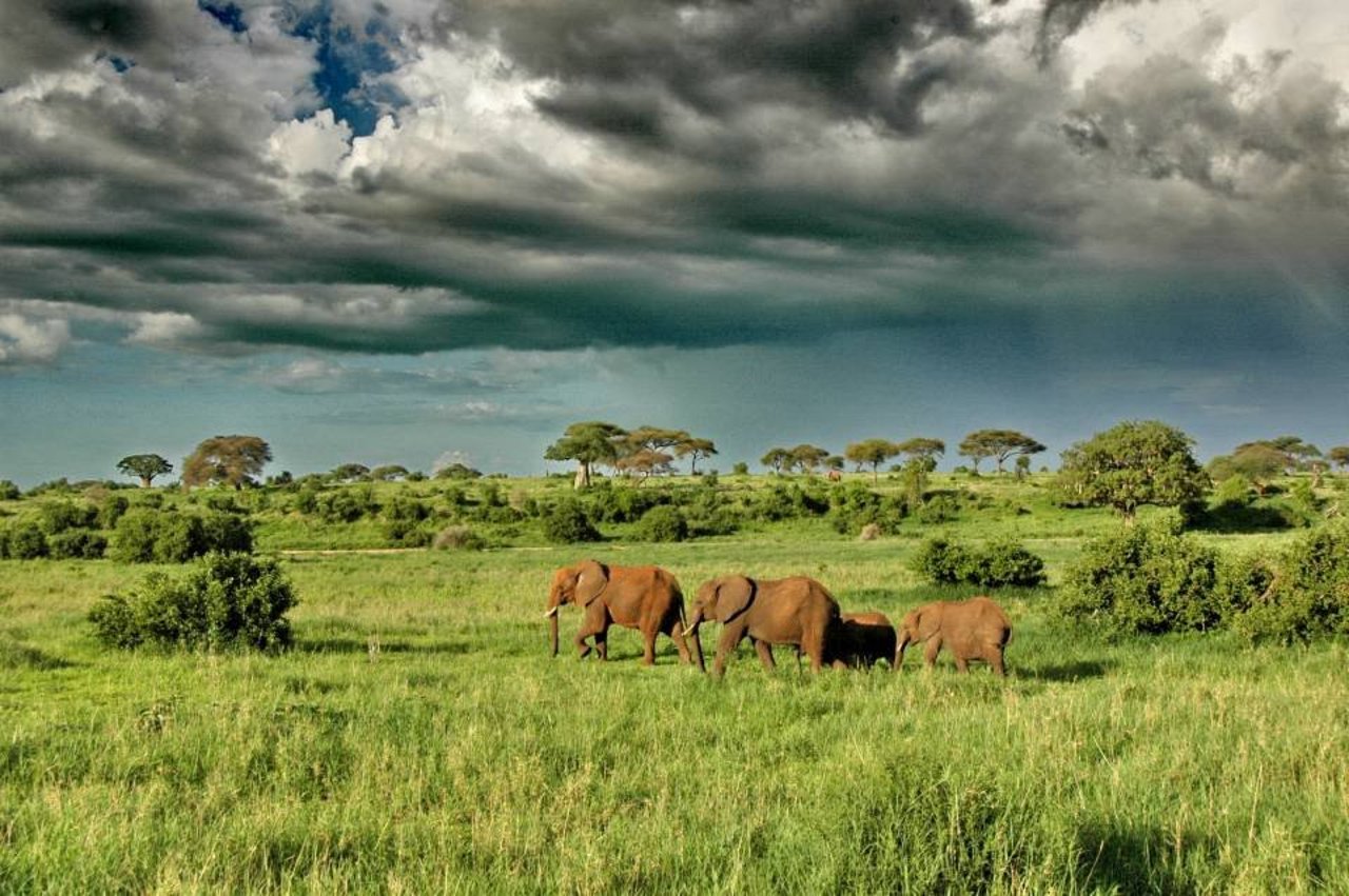 Katavi National Park