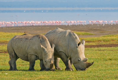 Travel the Green Tanzania