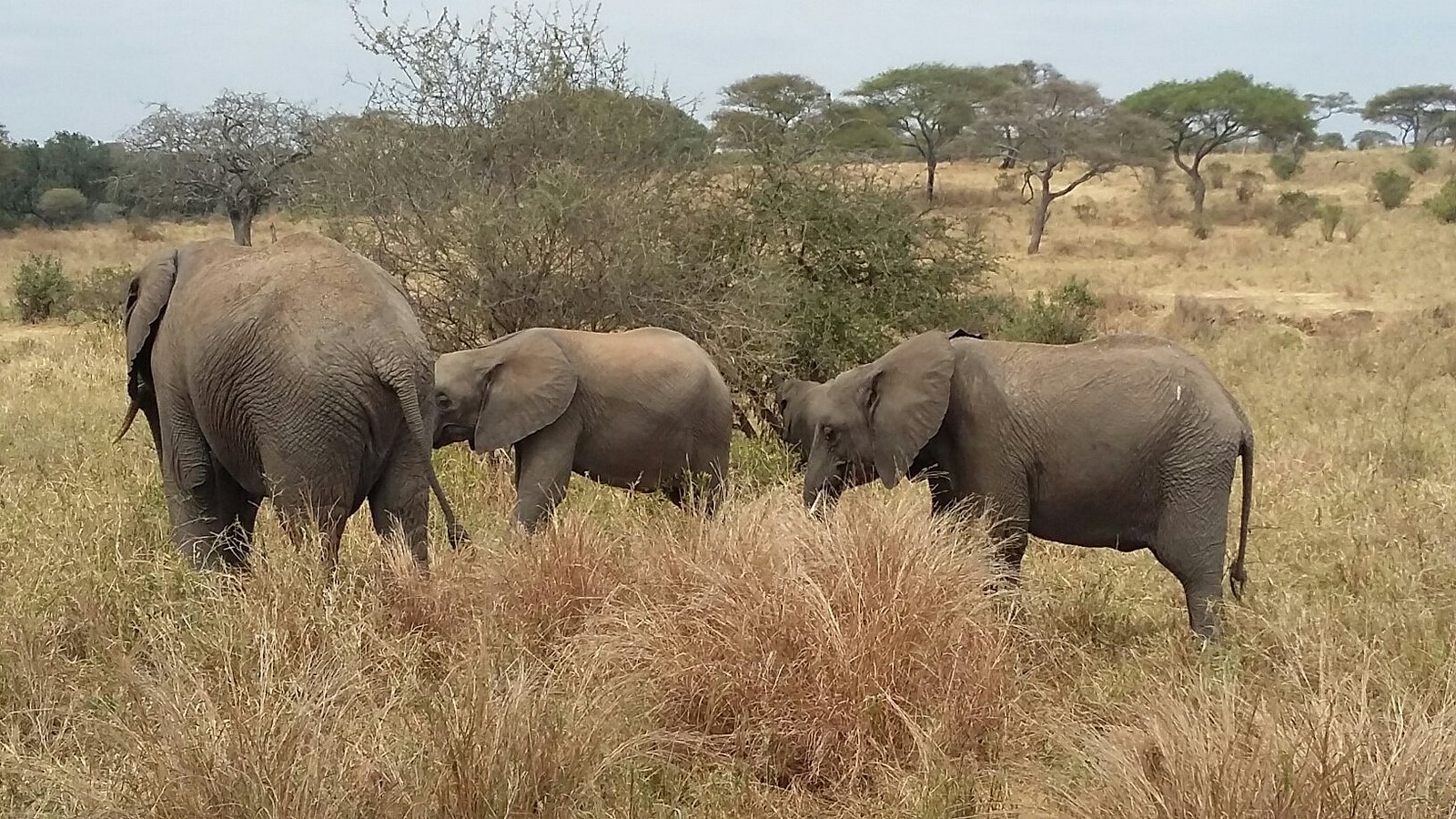 Treasures of Tanzania by Elewana and Sanctuary