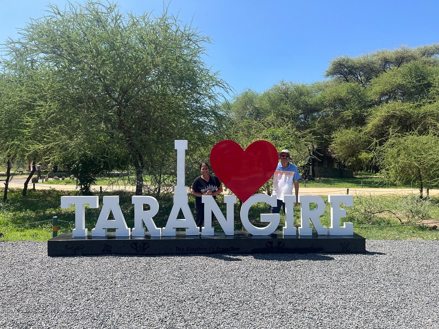 8 Days Tanzania Zebra Safari