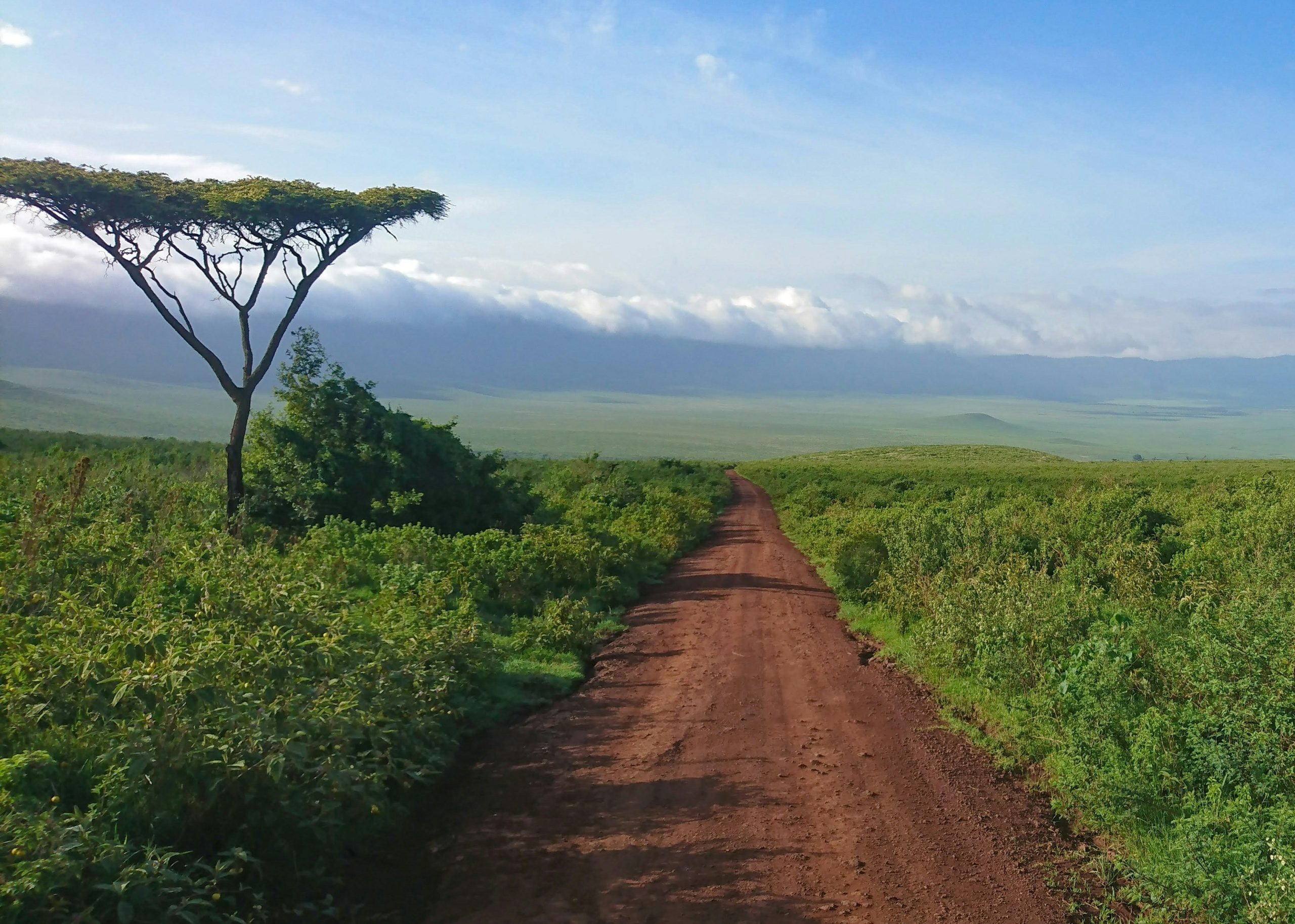 Easter Special Safari