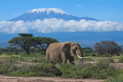 Self Drive Safari Northern Tanzania – 9 Days