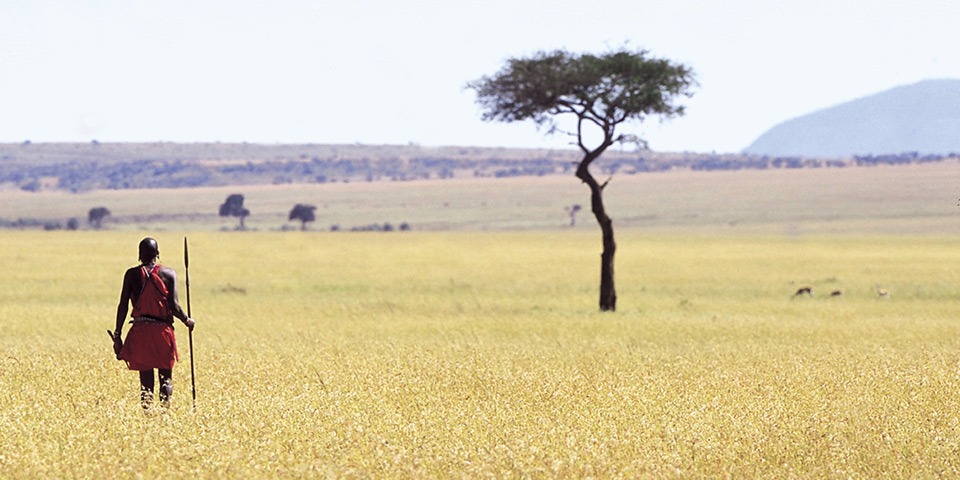 Why Travel With Safari ASAP