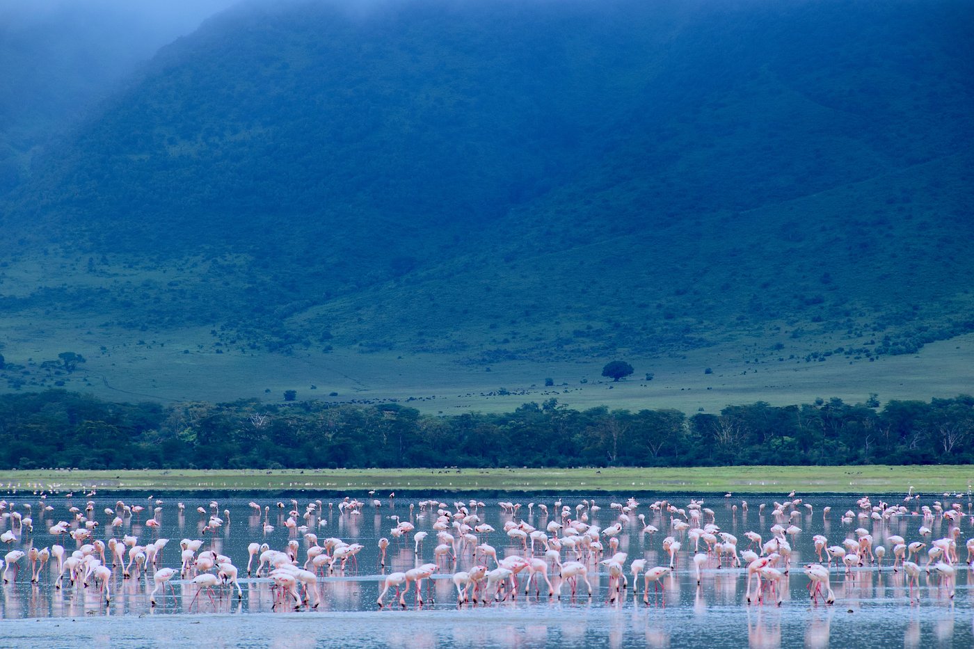 8 Days Tanzania Zebra Safari