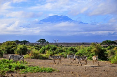 The Beginner's Guide to Climbing Kilimanjaro