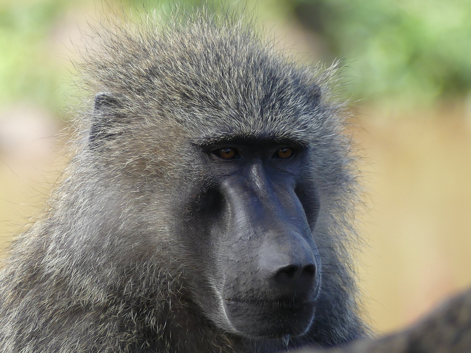 Ngorongoro Crater and Lake Manyara 3 Days