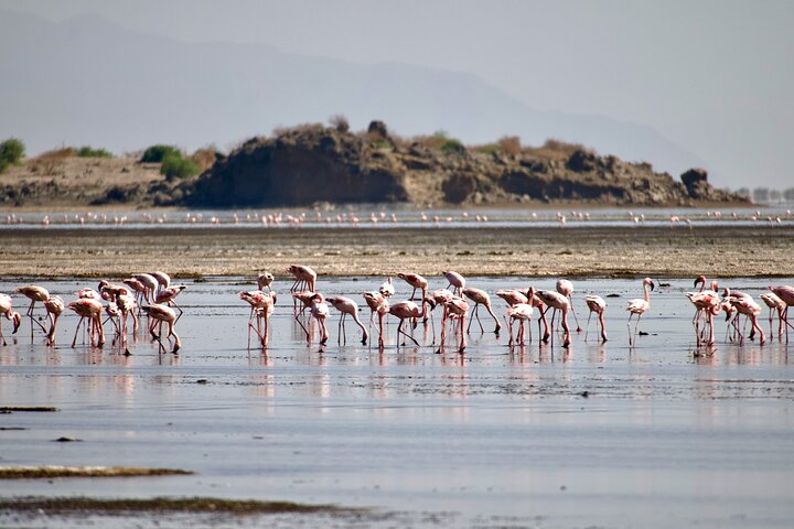 lake natron