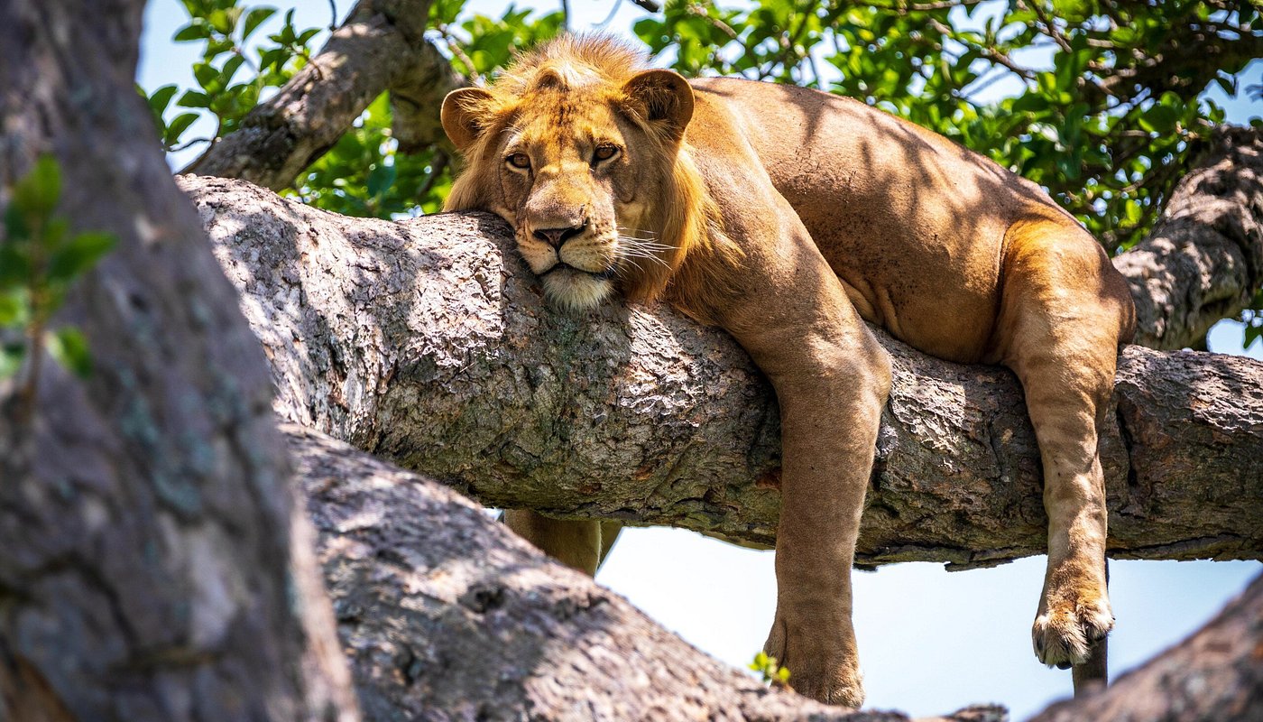 Lake Manyara National Park