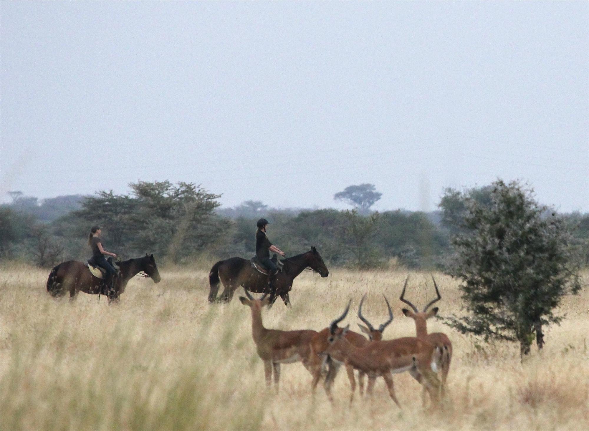 10 Days Out of Africa Safari