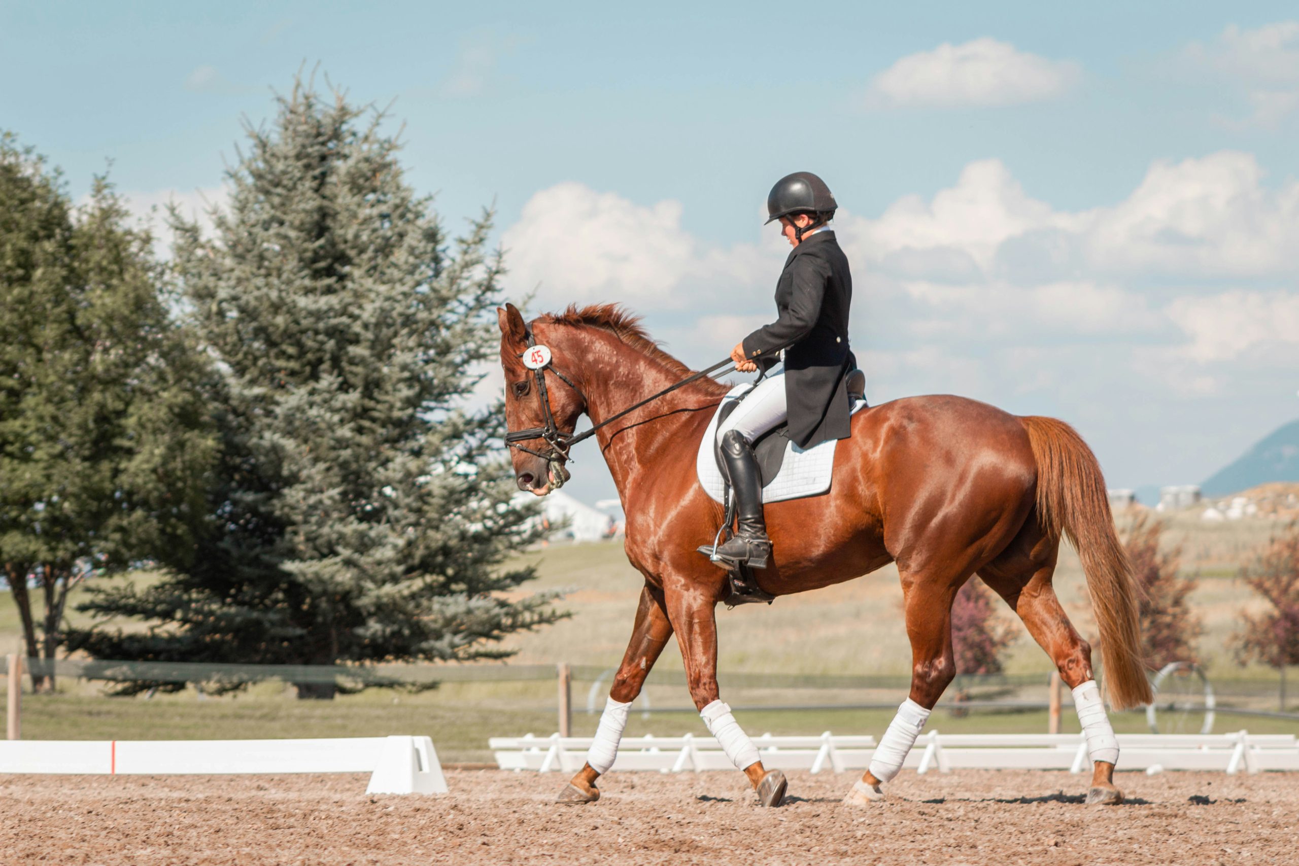 Horse Riding Safaris in East Africa