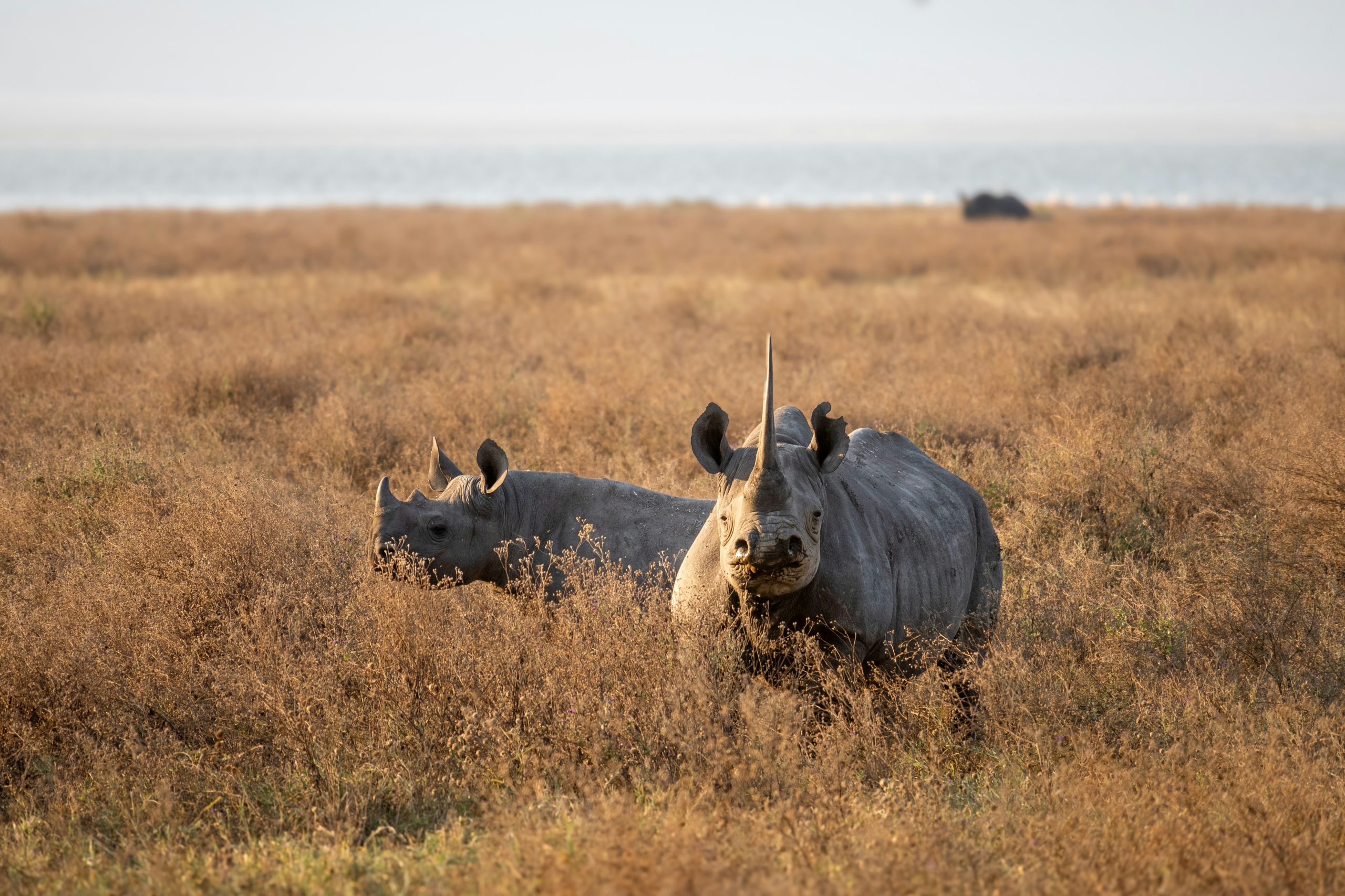 14 Days Family Vacation Tanzania & Zanzibar