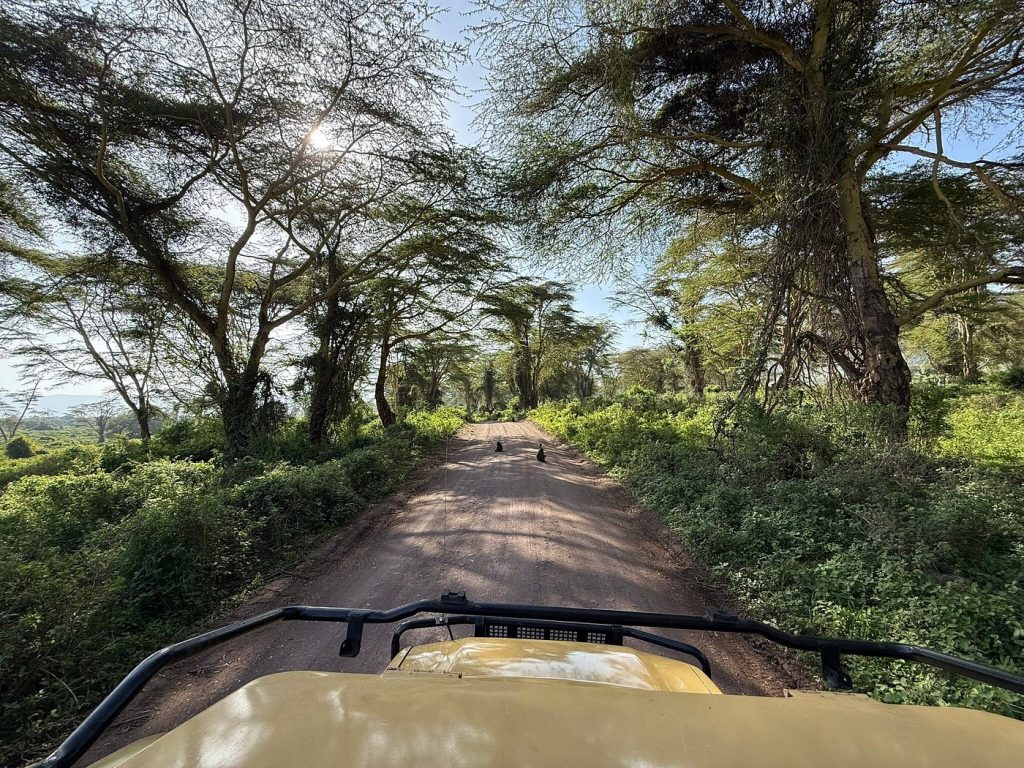 5 Days Tanzania Budget Safari