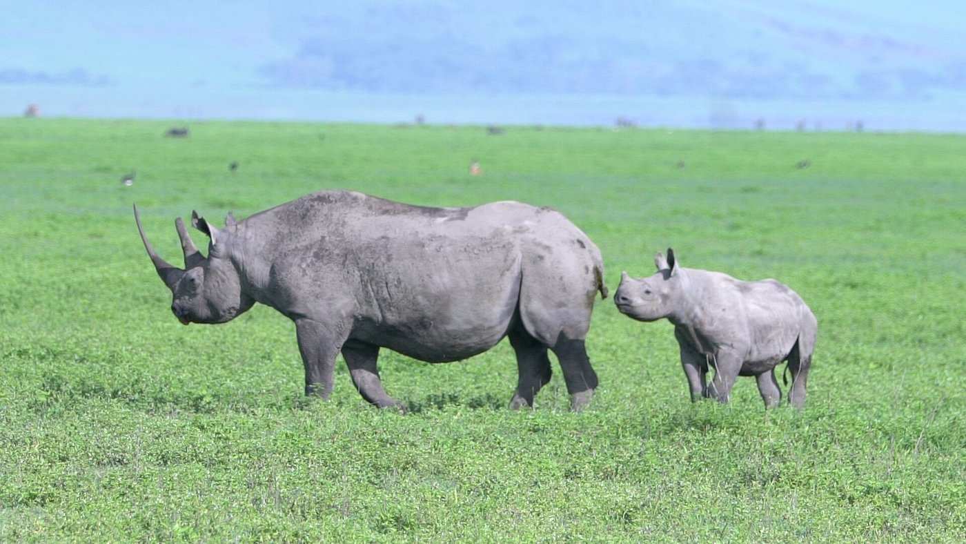 Wonders of Tanzania Wilderness Safari