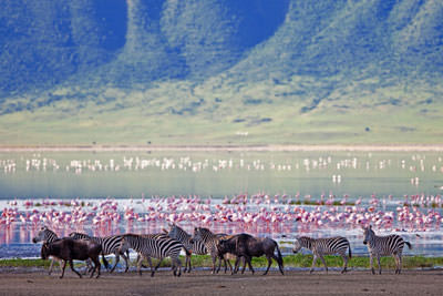 10 Days Family Safari in Northern Tanzania