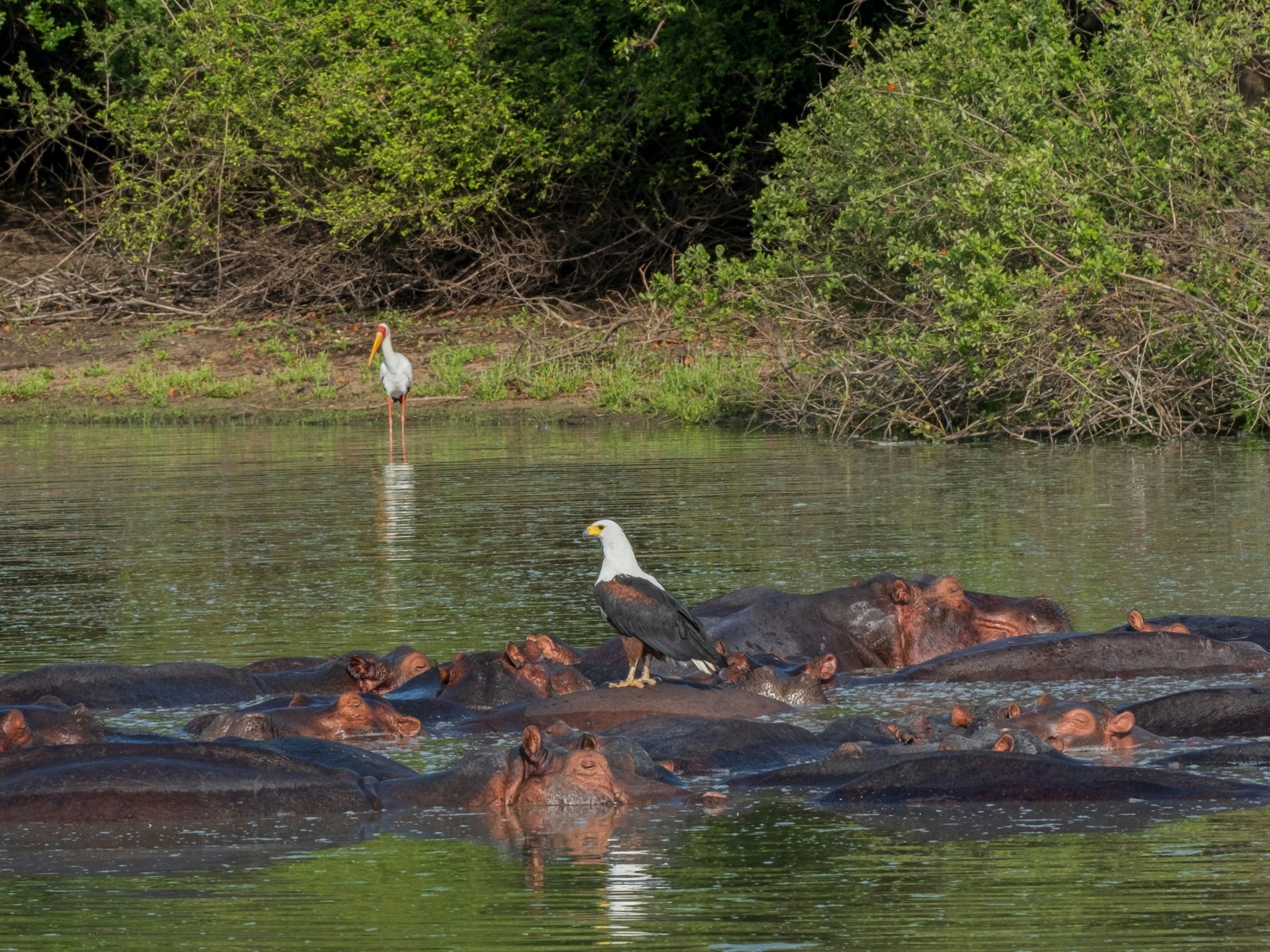 10 Days Family Holiday in Southern Tanzania