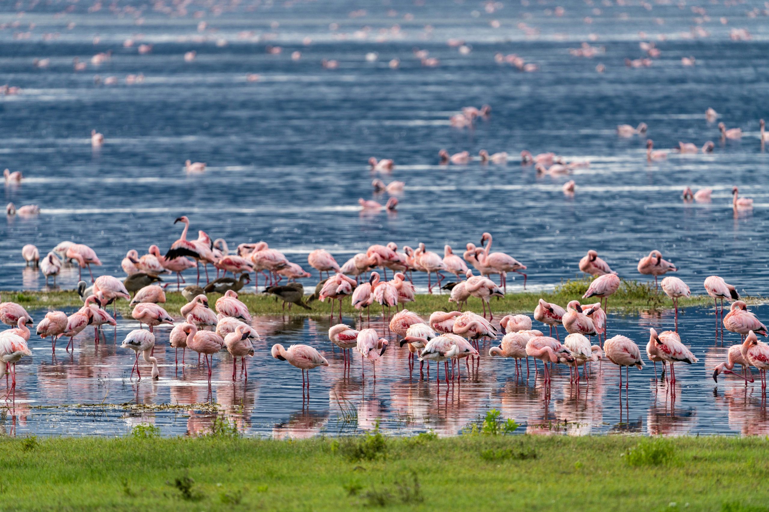 10 Days Family Safari in Northern Tanzania