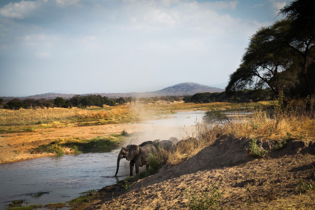 Ruaha National Park