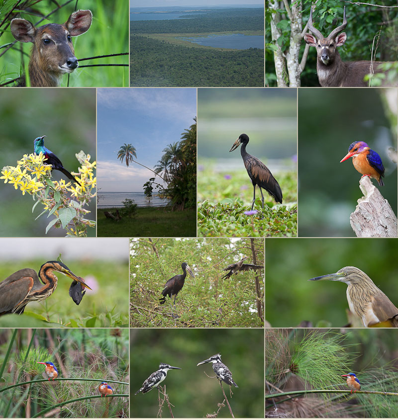 Rubondo National Park