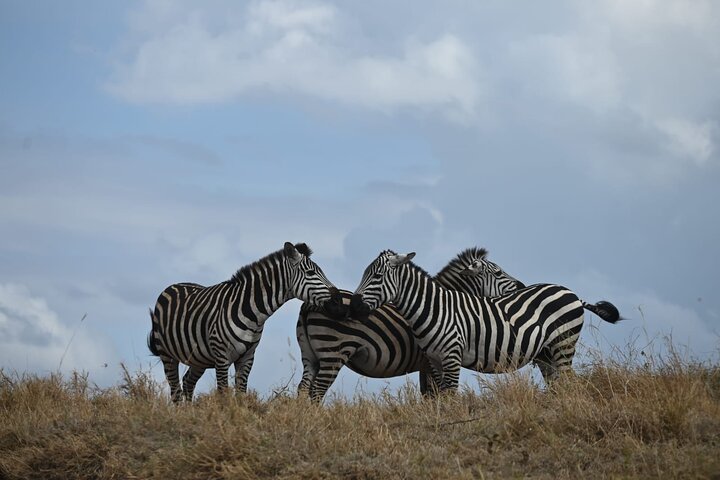 Romance East Africa Safari