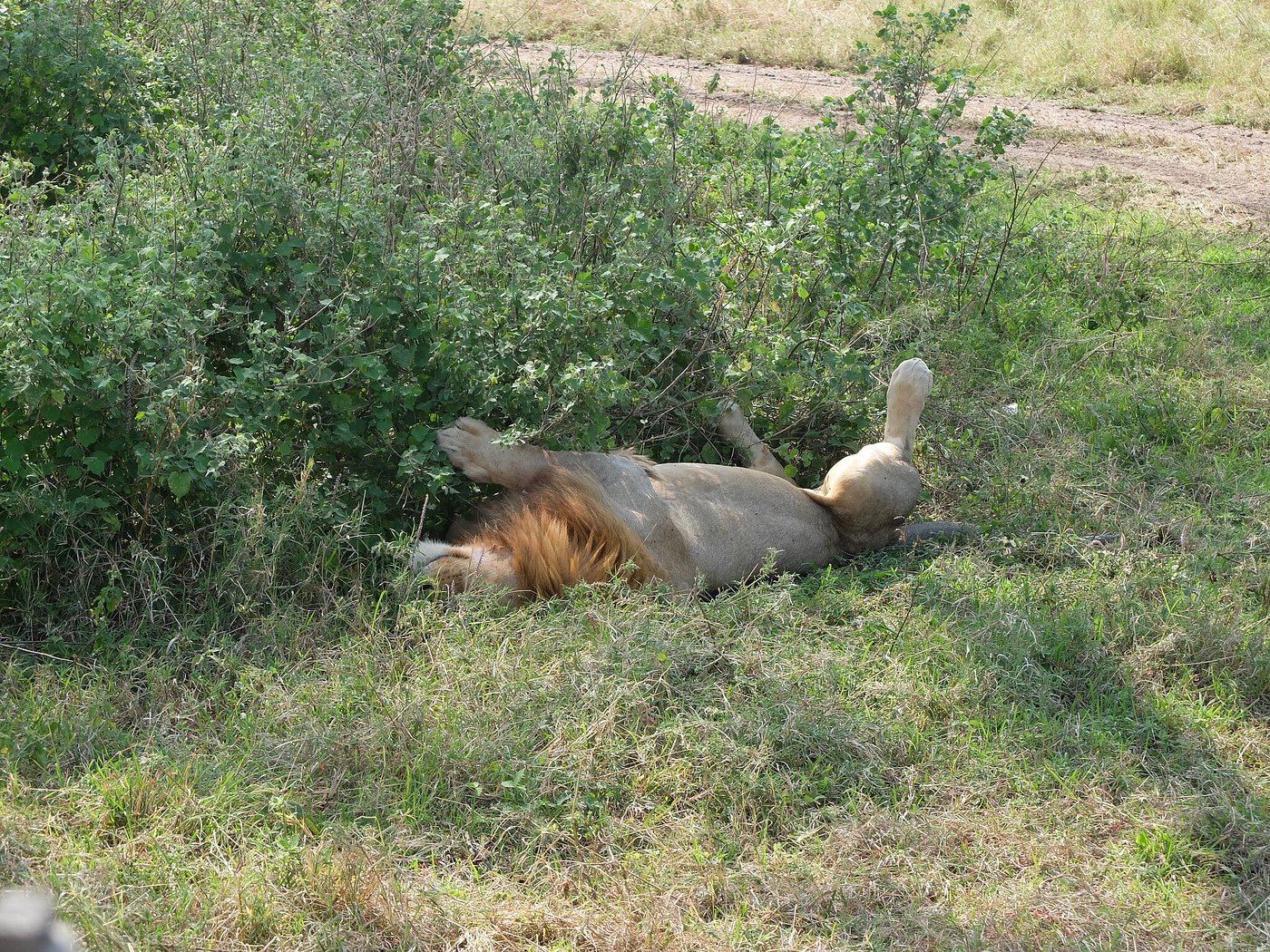 Treasures of Tanzania by Elewana and Sanctuary