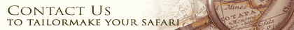 Safari ASAP