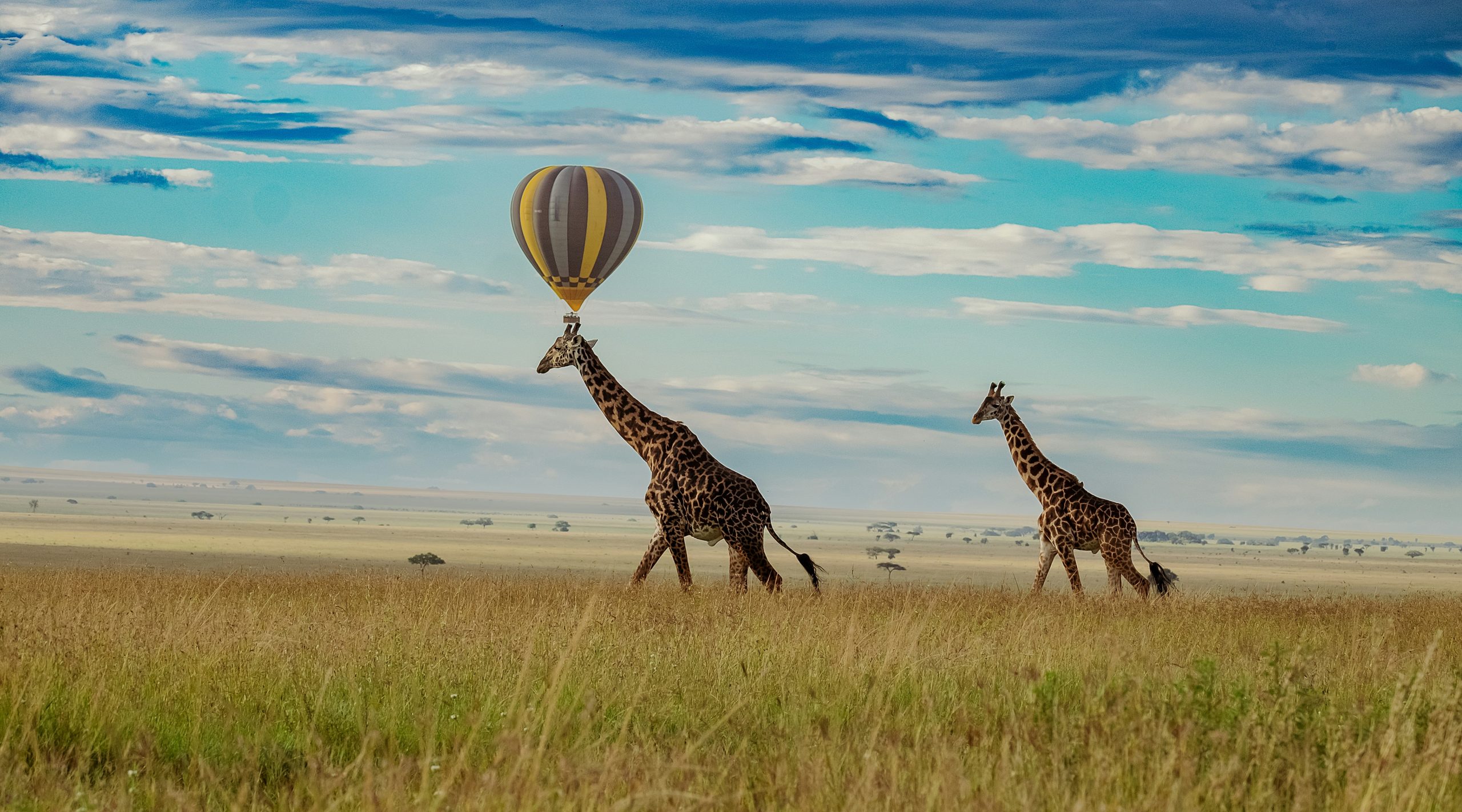 12 Days Family Special Safari