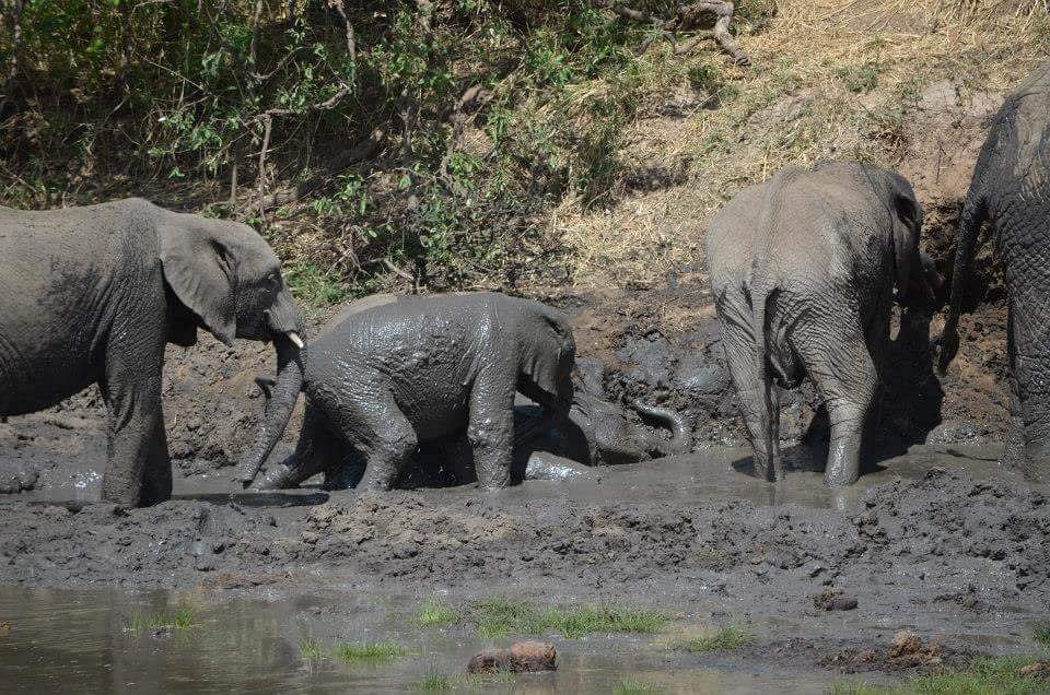 Camping Safari Tanzania 4 Days
