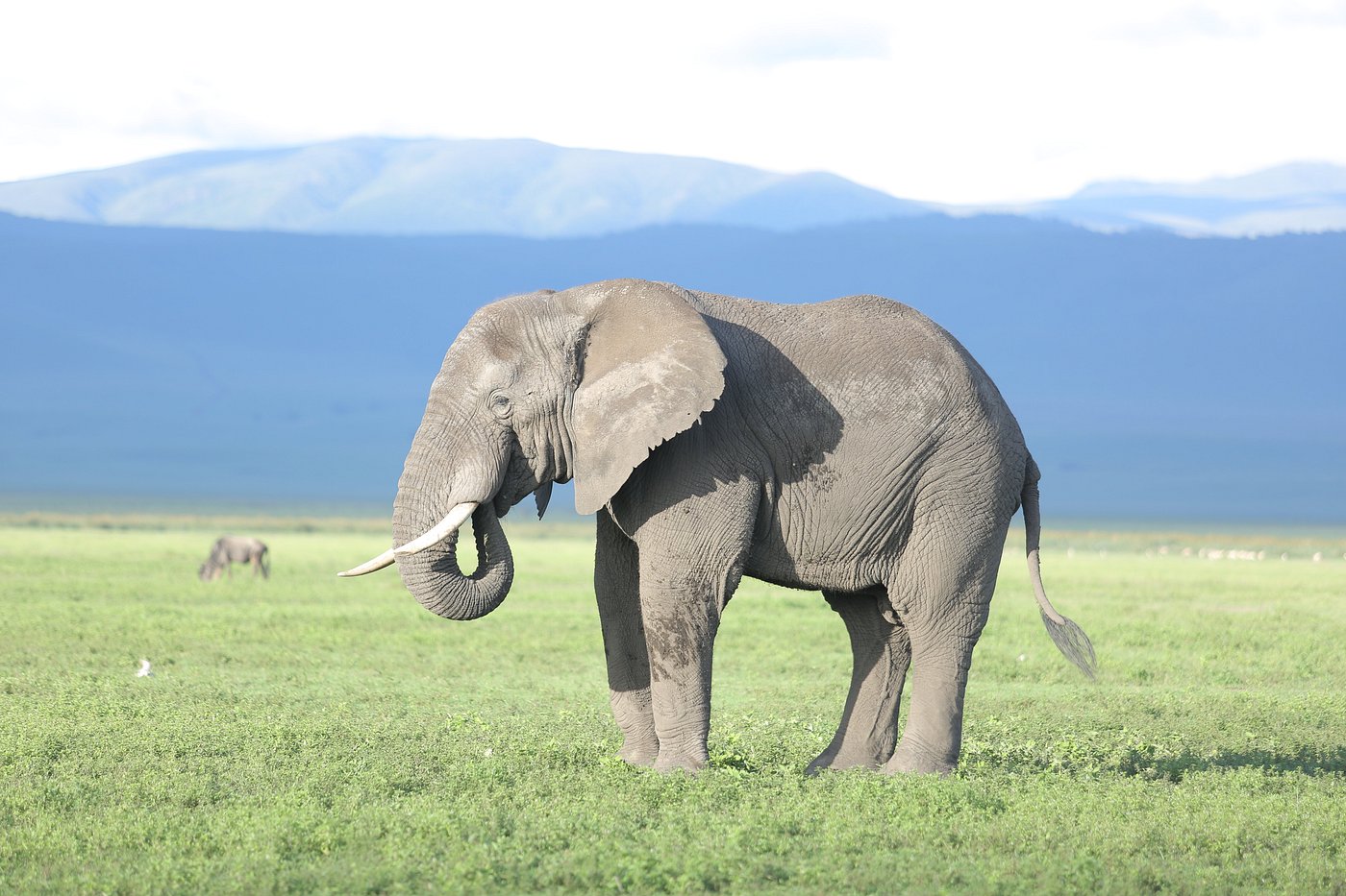 Camping Safari Tanzania 4 Days