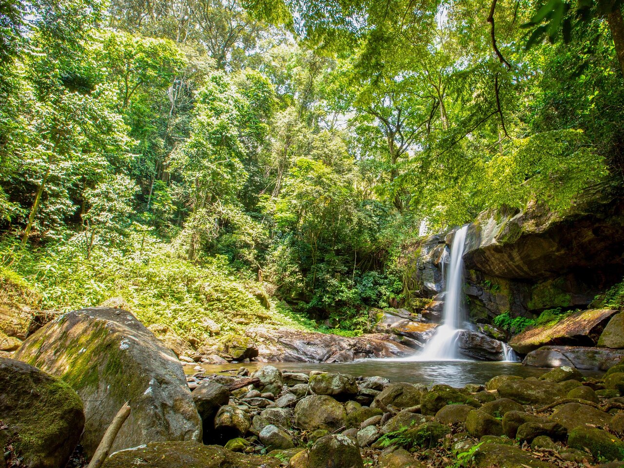 Udzungwa Mountains