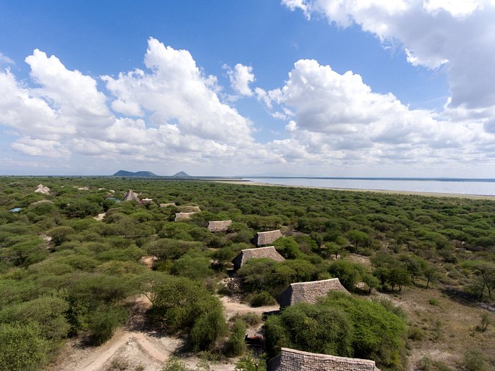 Tanzania Special Safari
