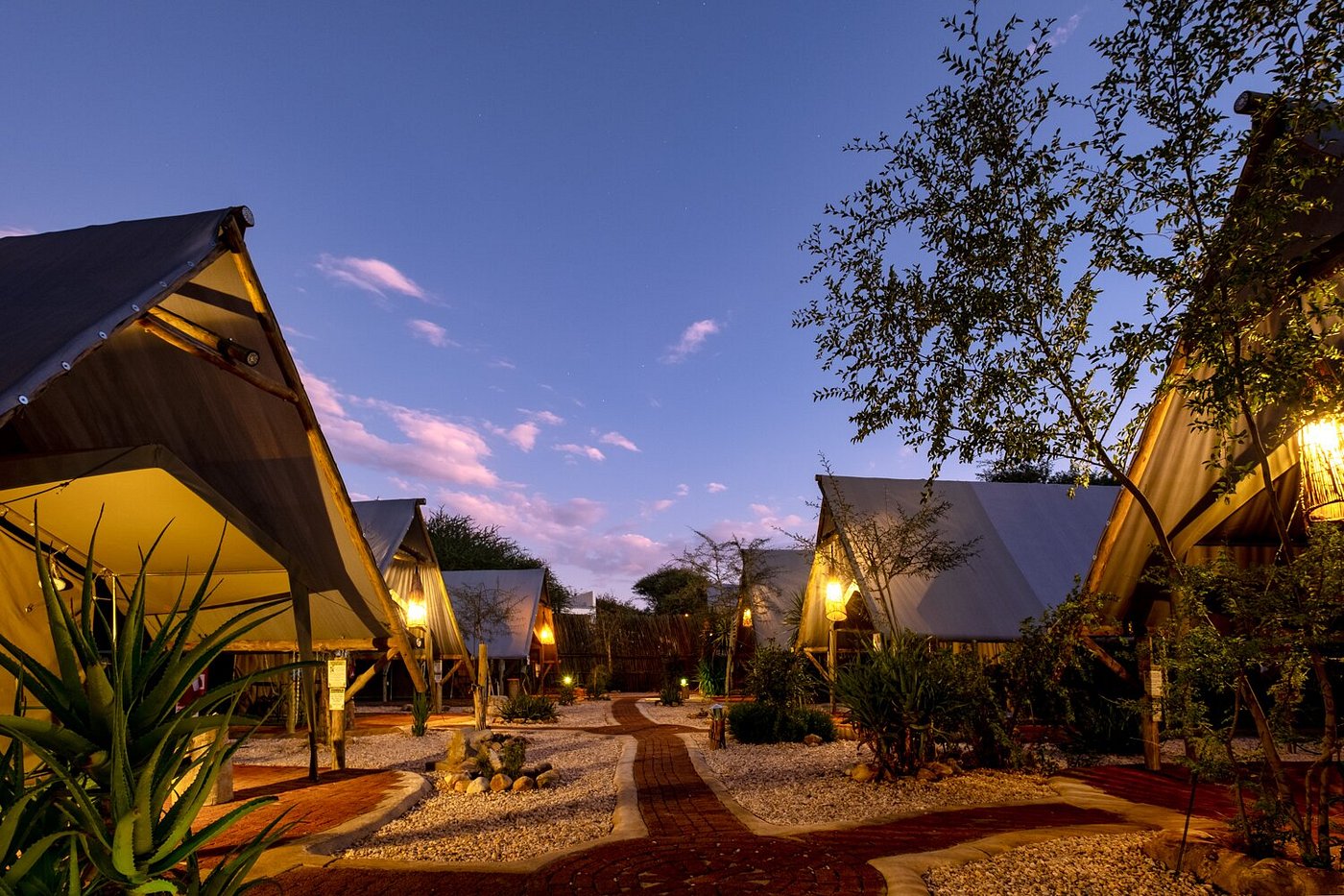 Tanzania Camping Safaris: Get up Close and Personal with Nature